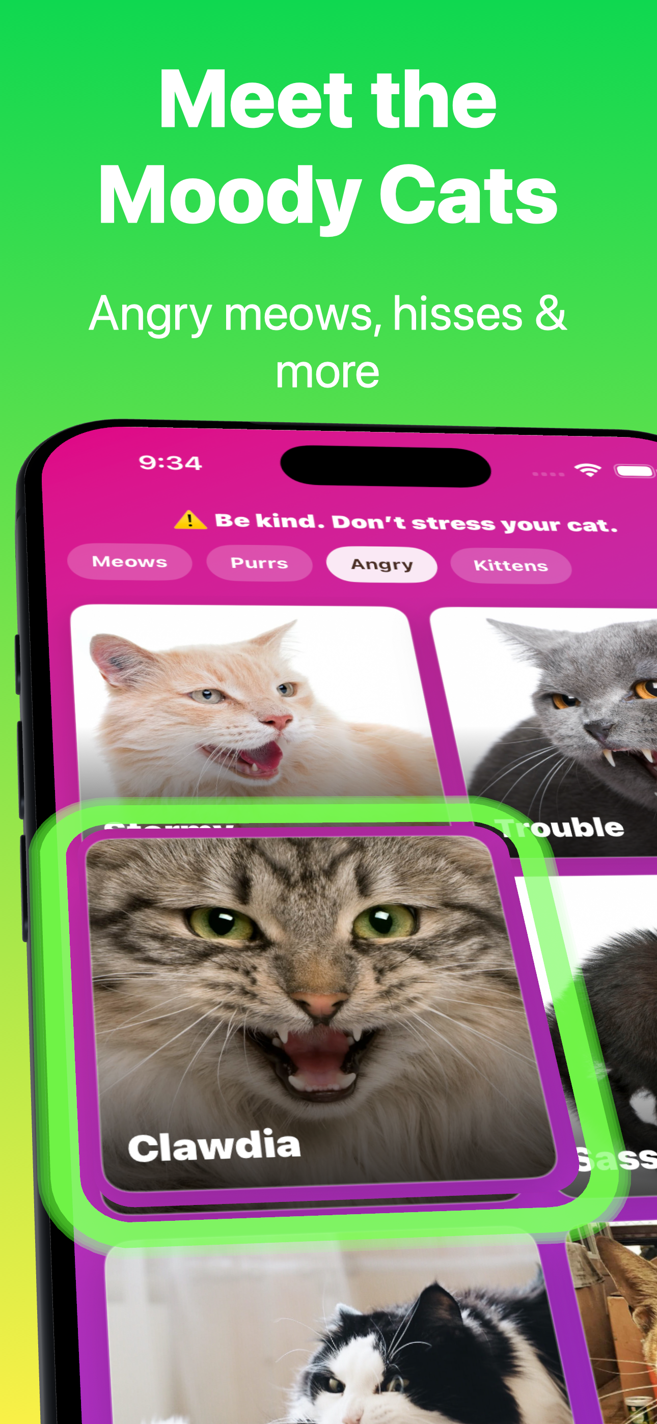 Moody cat sounds screen