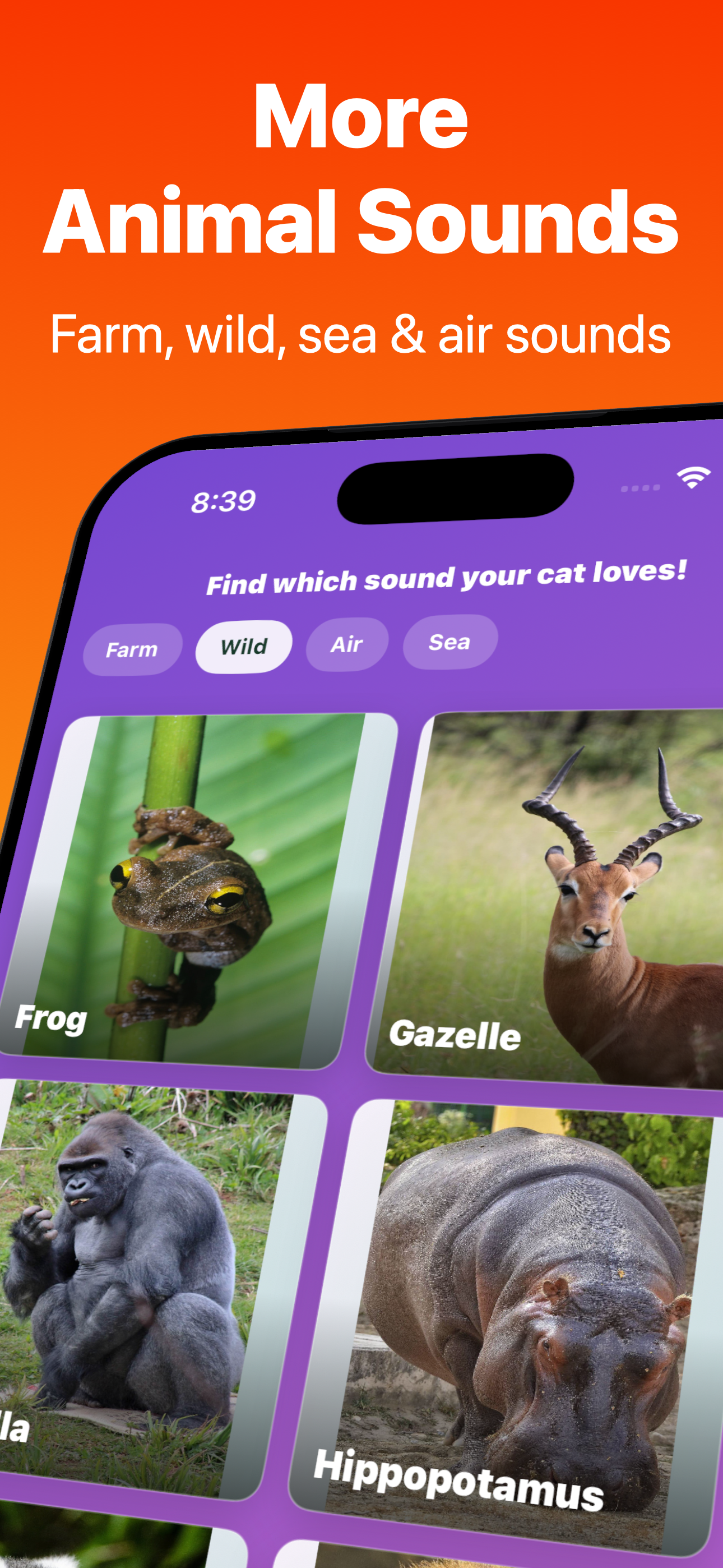 Animal sounds screen